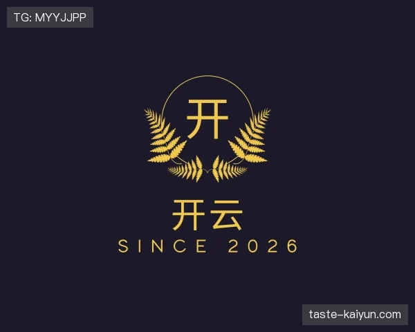 关于开云世界杯